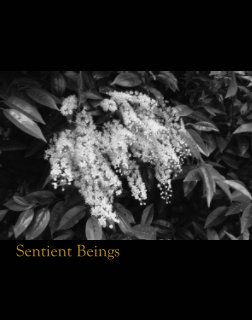 Sentient Beings book cover