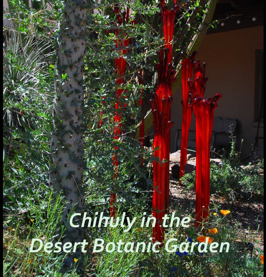 View Chihuly in the Desert by Katherine J Oakey