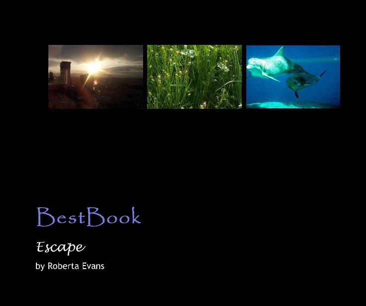 BestBook nach Roberta Evans anzeigen