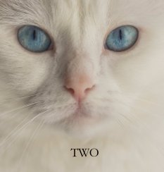 Two book cover