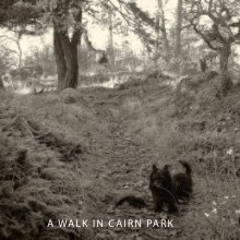 A Walk In Cairn Park book cover