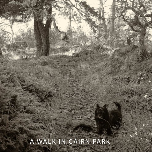 View A Walk In Cairn Park by Camilla Fennell