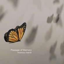 Passage of Memory book cover