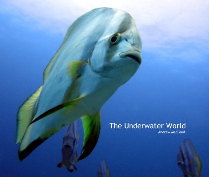 The Underwater World Andrew MacLeod book cover