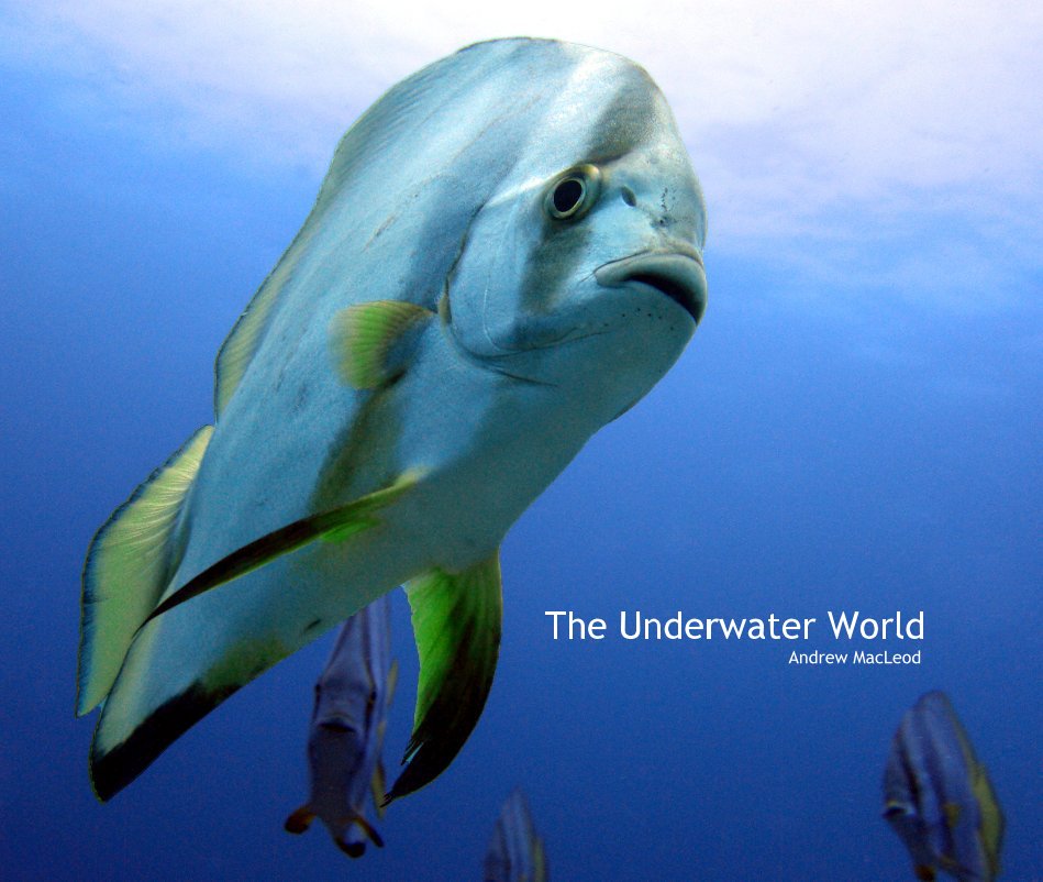 View The Underwater World Andrew MacLeod by Andrew MacLeod