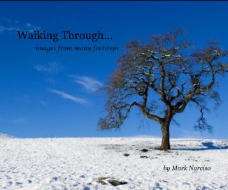 Walking Through... book cover