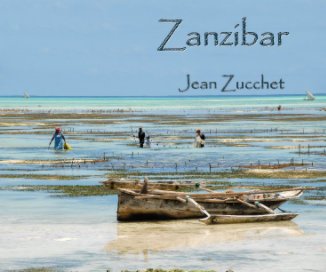 zanzibar zz book cover