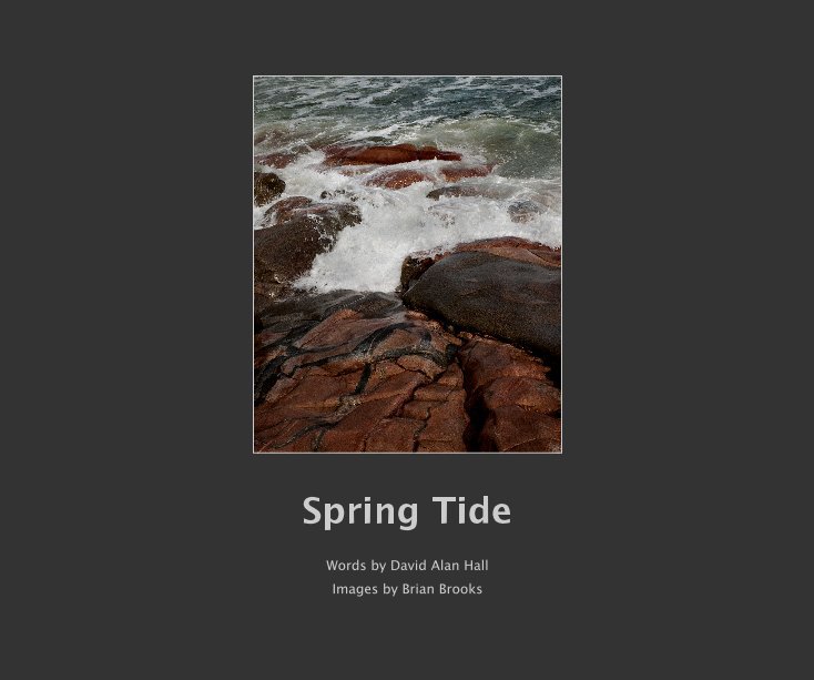 Ver Spring Tide por David Alan Hall & Brian Brooks