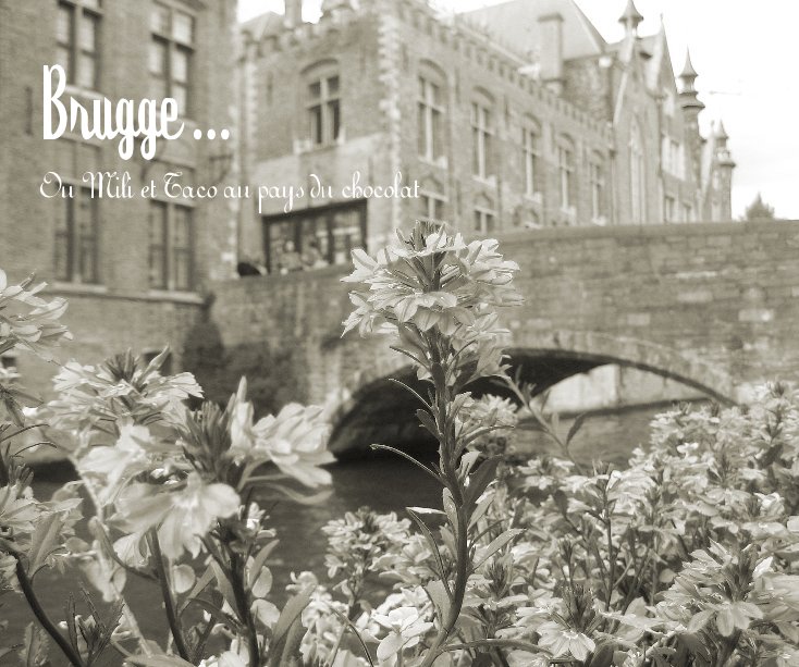 View Brugge by Mili