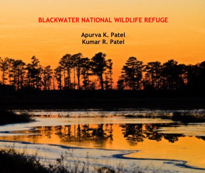 BLACKWATER NATIONAL WILDLIFE REFUGE Apurva K. Patel Kumar R. Patel book cover