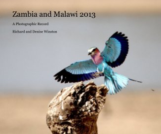 Zambia and Malawi 2013 book cover