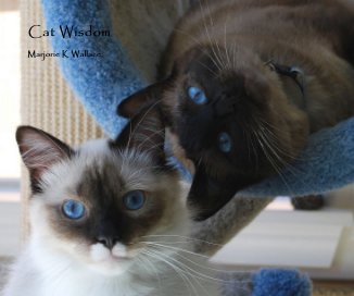 Cat Wisdom book cover