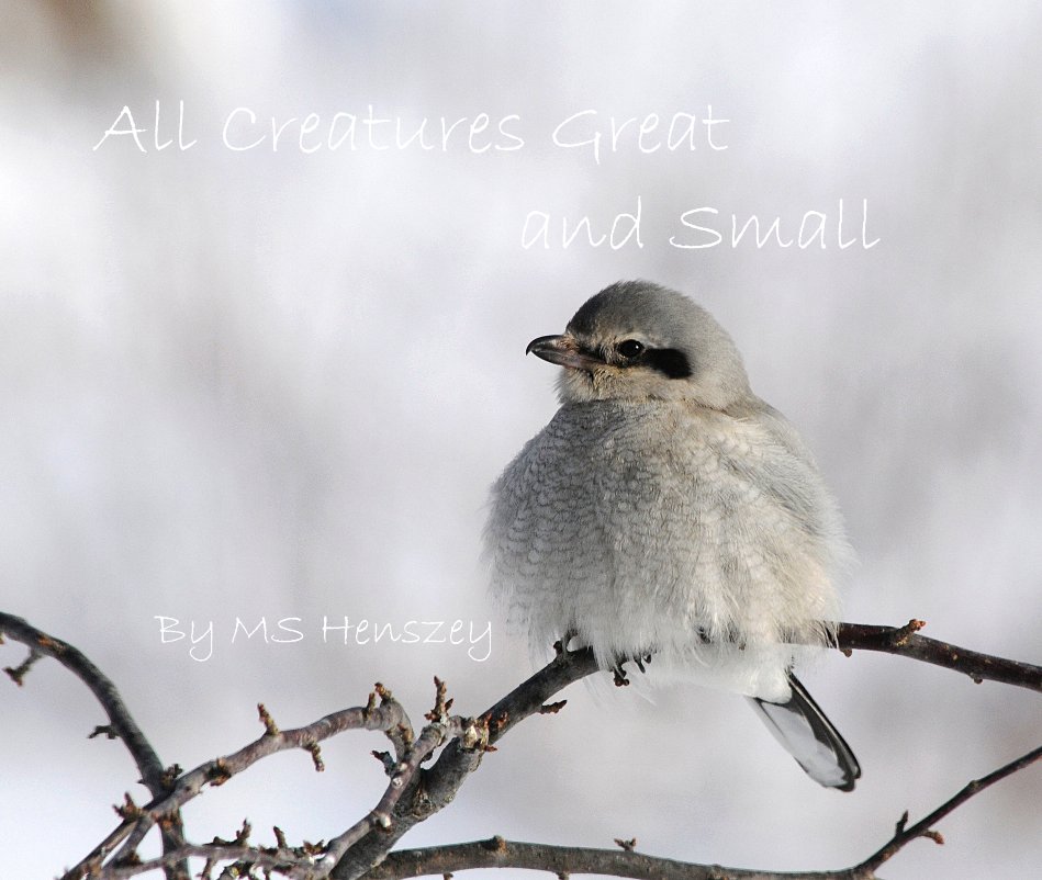 Ver All Creatures Great and Small By MS Henszey por MS henszey