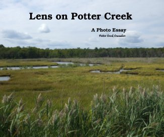 Lens on Potter Creek book cover