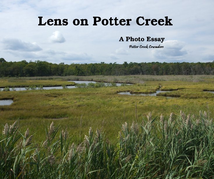 View Lens on Potter Creek by Potter Creek Crusaders
