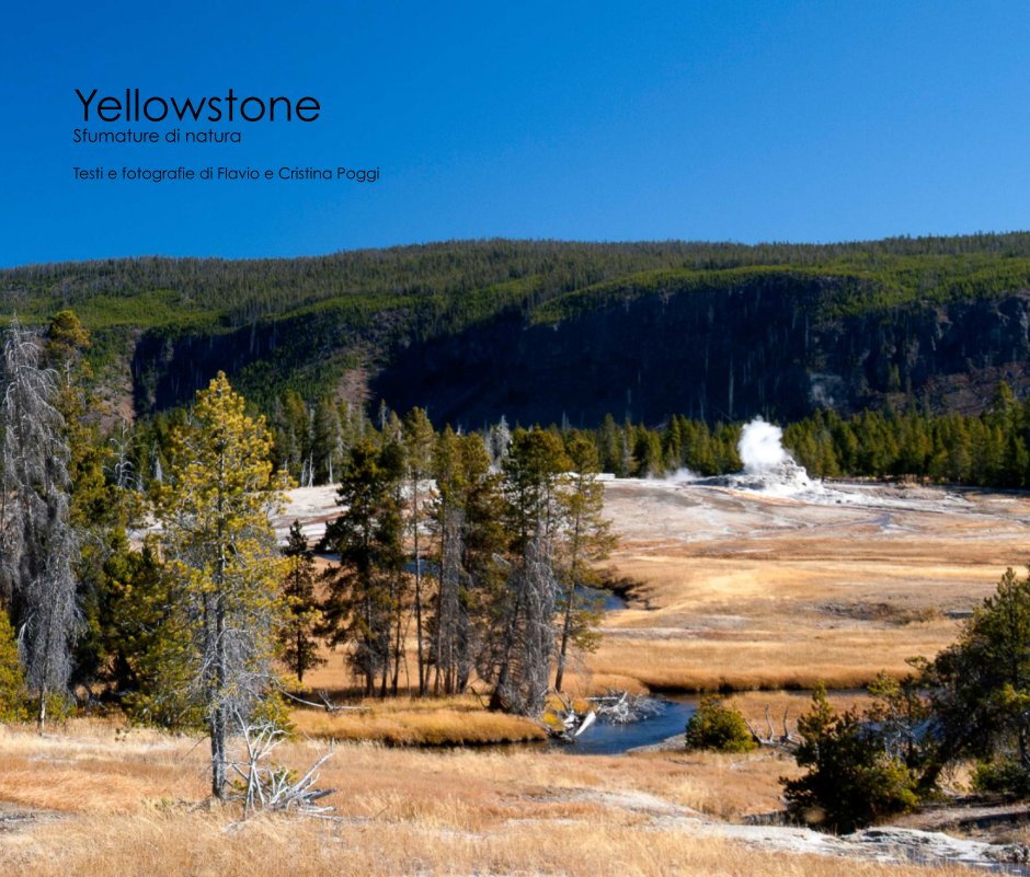 Visualizza Yellowstone di Flavio e Cristina Poggi