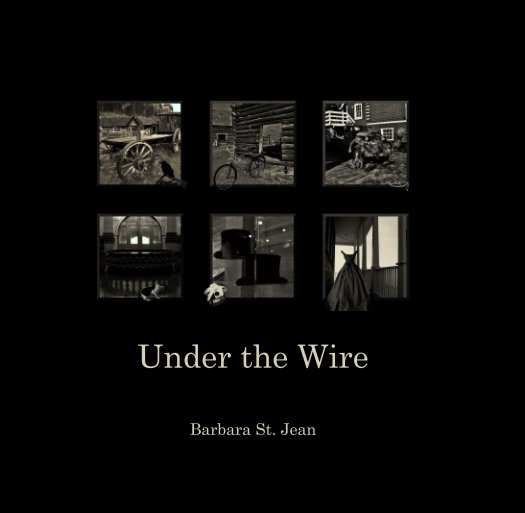 View Under the Wire by Barbara St. Jean