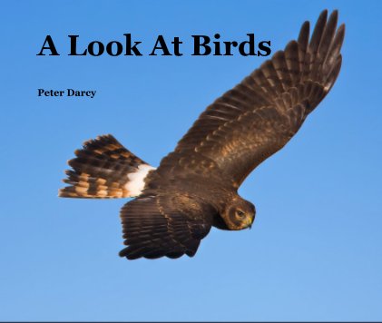 A Look At Birds book cover