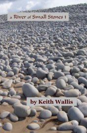 a River of Small Stones 1 book cover