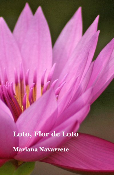 View Loto, Flor de Loto by Mariana Navarrete