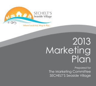 SDBA Marketing Plan 2013 book cover