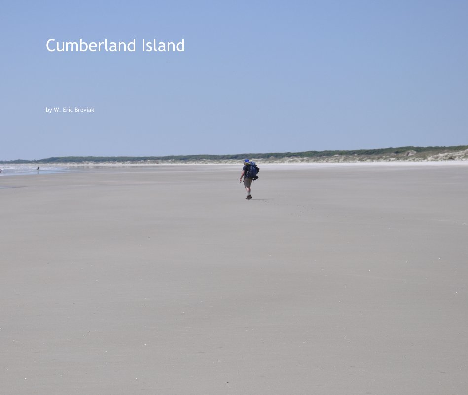 View Cumberland Island by W Eric Broviak
