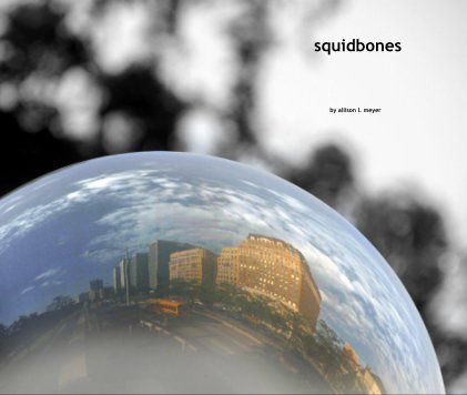 squidbones book cover