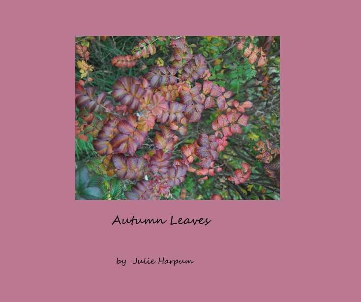 View Autumn Leaves by Julie Harpum