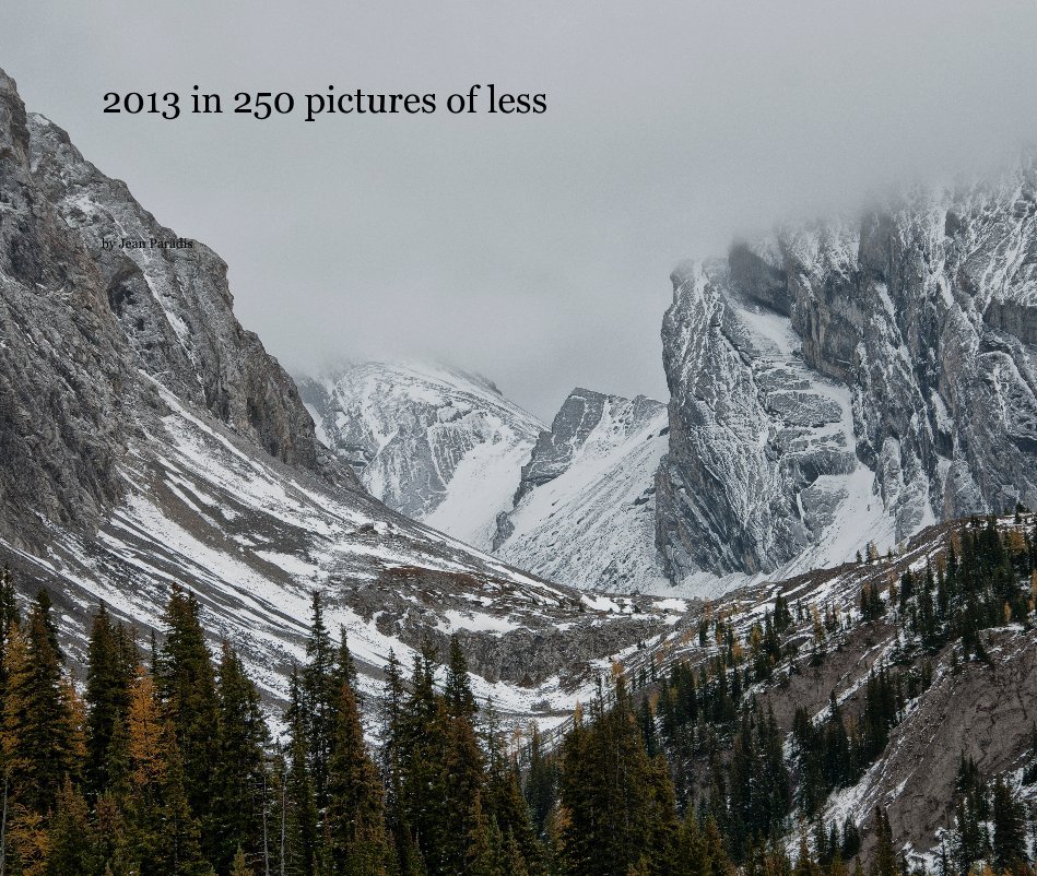 View 2013 in 250 pictures of less by Jean Paradis