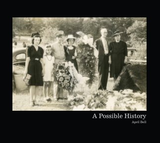 A Possible History (hardcover) book cover