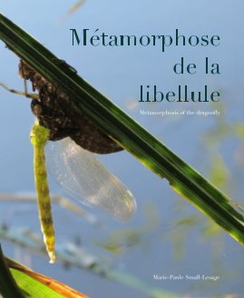 Métamorphose de la libellule book cover