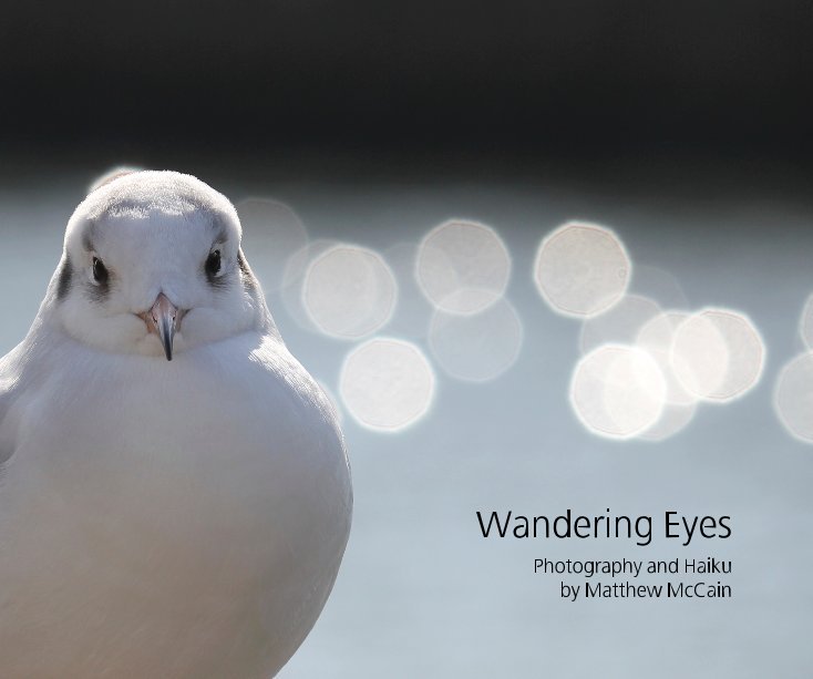 Ver Wandering Eyes por Matthew McCain
