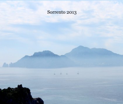 Sorrento 2013 book cover