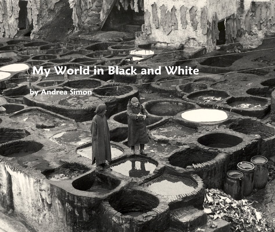 View My World in Black and White by Andrea Simon