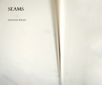 Seams book cover