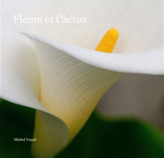 View Fleurs et Cactus by Michel VaquÃ©