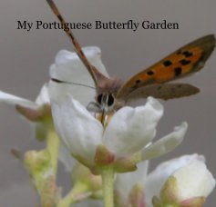 My Portuguese Butterfly Garden book cover