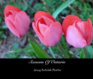 Seasons Of Ontario book cover