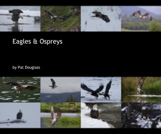 Eagles & Ospreys book cover