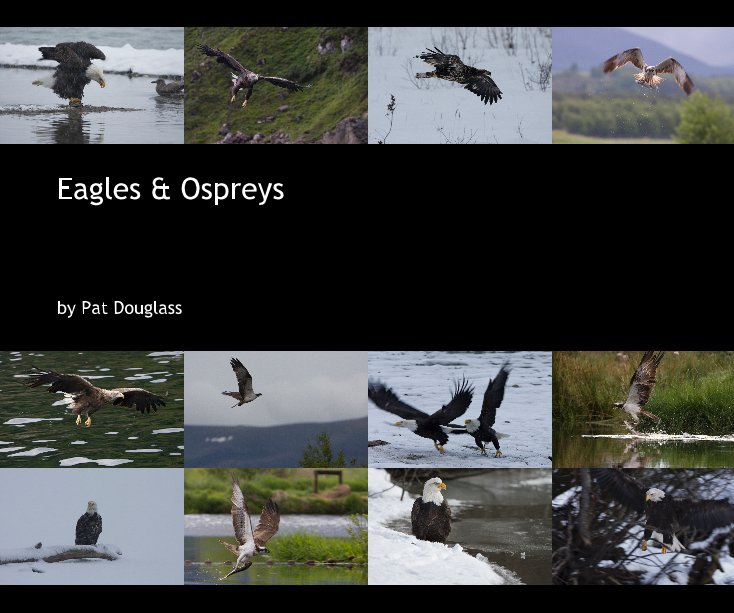 Eagles & Ospreys nach Pat Douglass anzeigen