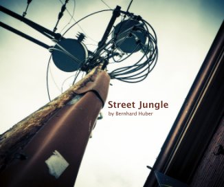 Street Jungle book cover