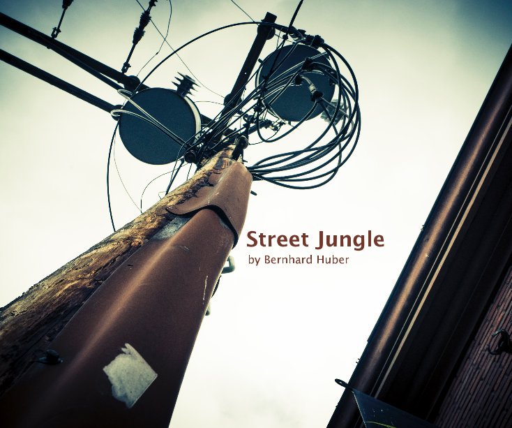 View Street Jungle by Bernhard Huber