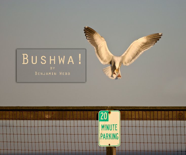 View Bushwa! by Ben Webb