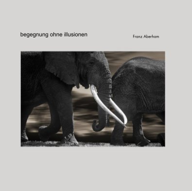 begegnung ohne illusionen book cover