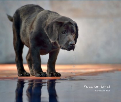 Full of Life! book cover