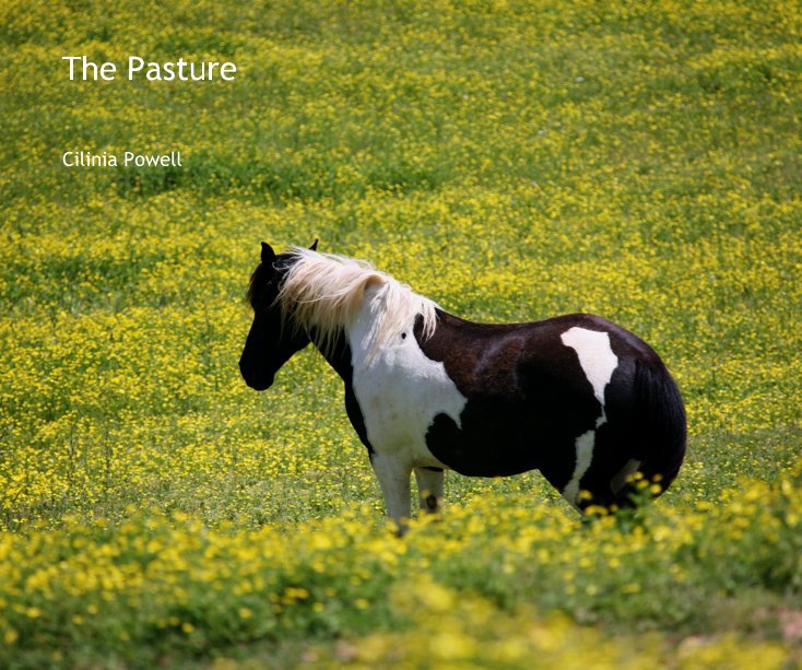 View The Pasture by Cilinia Powell