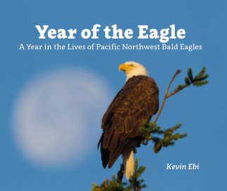 Year Of The Eagle book cover