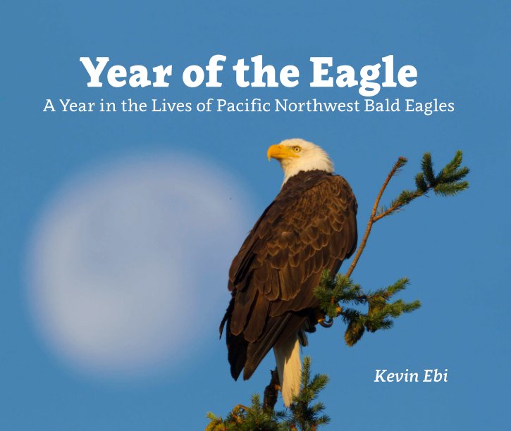 View Year Of The Eagle by Kevin Ebi