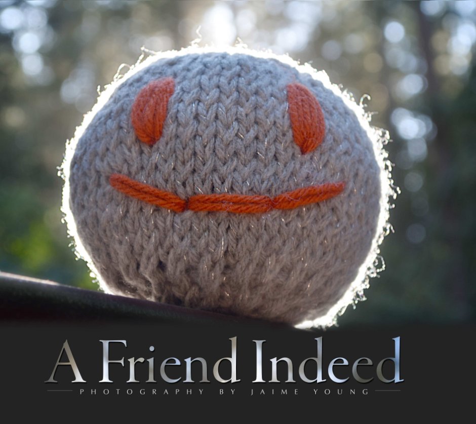 Ver A Friend Indeed por Jaime Young