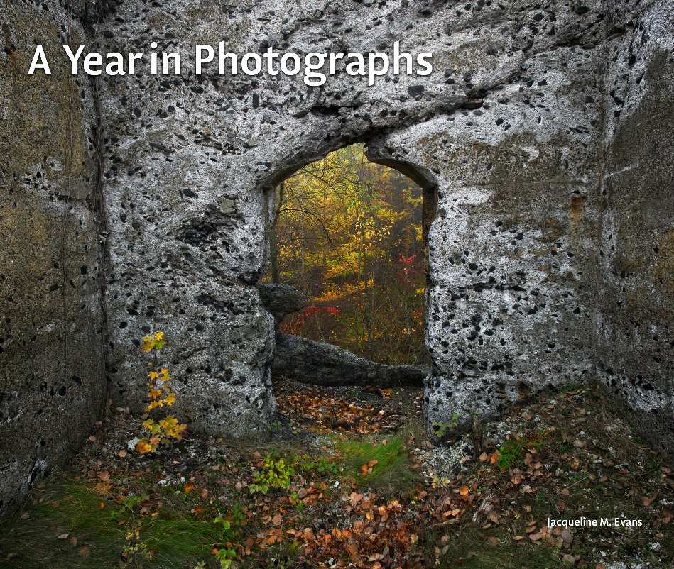 View A Year in Photographs by Jacqueline M. Evans